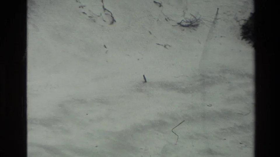 1982 New Zealand 8mm frame showing a pale snowy surface with small twigs, soft drift marks, and visible gate borders.
