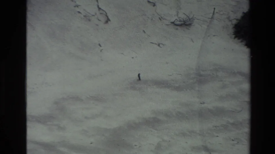 1982 New Zealand 8mm frame of snow-covered terrain with a tiny dark figure or mark and sparse vegetation near the top edge.