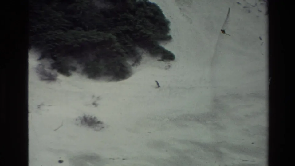 1982 New Zealand 8mm frame showing a dark shrub mass at the edge of a snowy area, with scattered twigs and soft film texture.