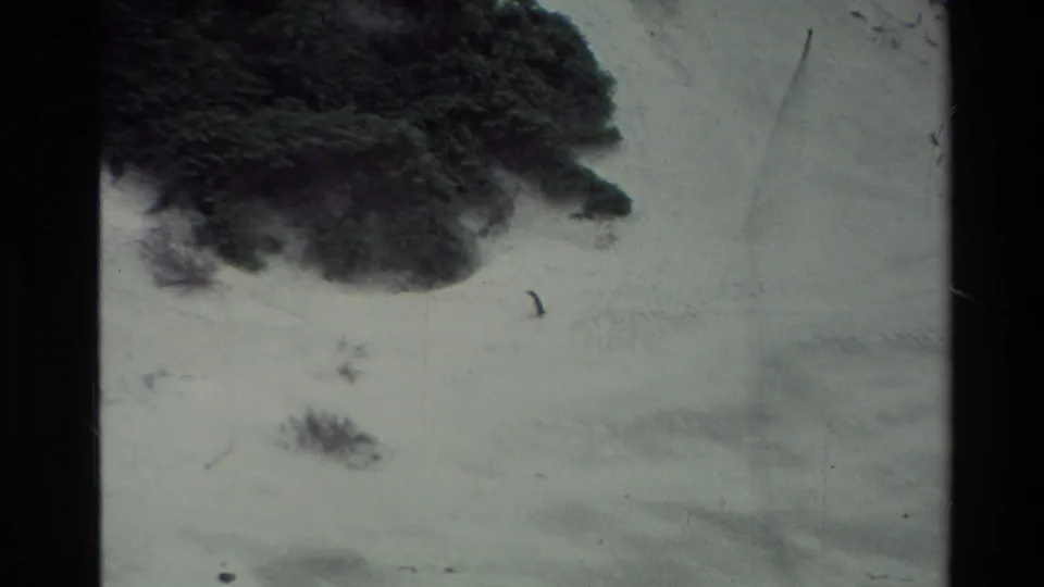 1982 New Zealand 8mm frame of a snowy landscape with a dark shrub at left, faint ground texture, and small dark marks in the snow.