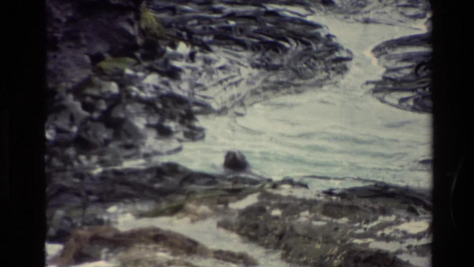 A rocky New Zealand shoreline appears with white water, dark seaweed-covered rocks, and grainy 8mm color fading.
