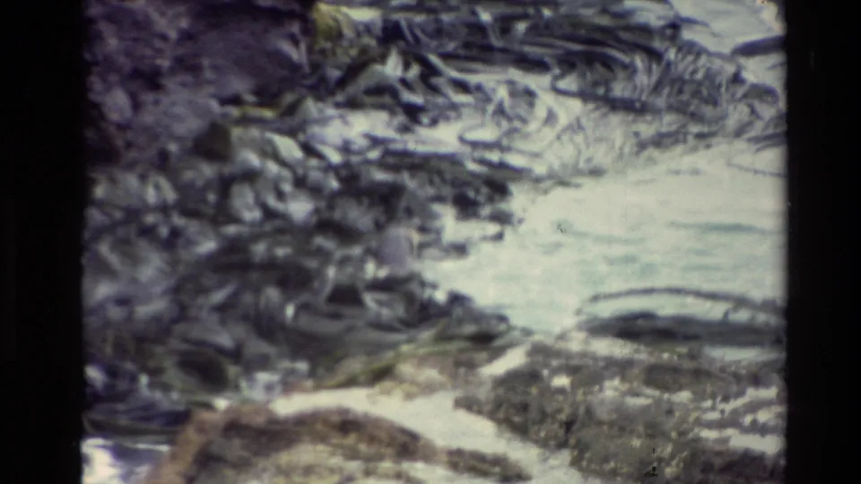 1982 New Zealand coastal frame with churning water, floating organic debris, and jagged dark rocks in soft 8mm focus.