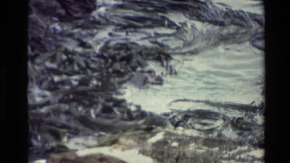 1982 New Zealand 8mm frame showing a close view of foamy coastal water with seaweed drifting among rocks.