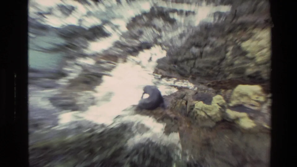 1982 New Zealand 8mm frame showing a dark sea lion perched on rugged shoreline rocks near white water.