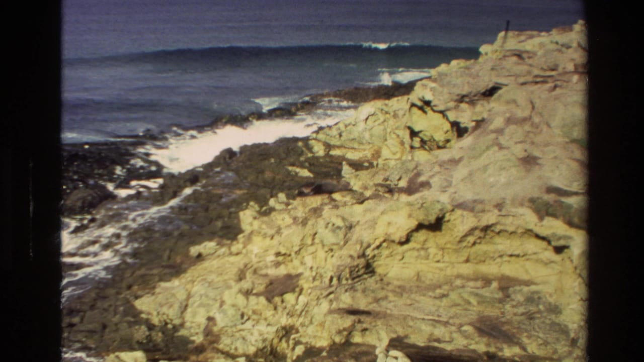 1982 New Zealand 8mm frame showing rugged coastal rocks and surf, with no seal clearly visible in this first view.