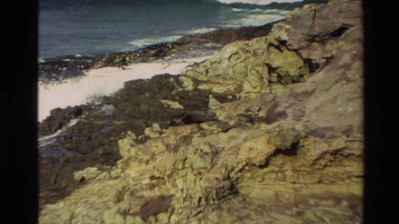 Rugged rocks and breaking surf along a coastal shoreline.