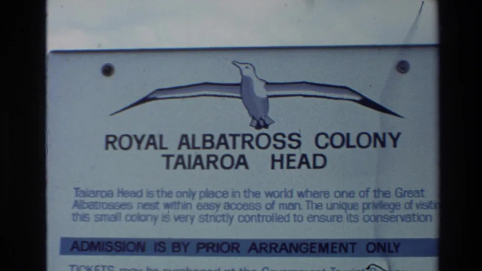 Royal Albatross Colony Taiaroa Head sign fills the frame, with a bird graphic and visitor information text visible.