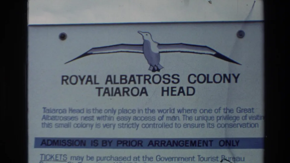 Close view of the Royal Albatross Colony Taiaroa Head sign with bird graphic, text blocks, and admission notice.