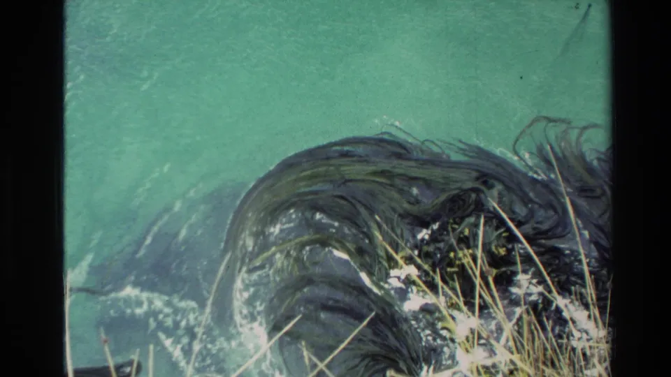 1982 New Zealand 8mm frame showing kelp-like shoreline growth, foamy water movement, grasses, and blue-green coastal water.