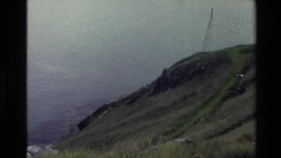 1982 New Zealand 8mm frame of a grassy coastal slope descending toward calm water, seen from a handheld vantage point.