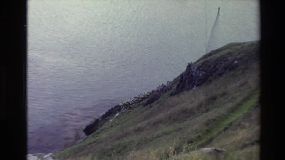 1982 New Zealand coastal hillside frame with grass-covered slope, rocky edge, calm bay water, and visible 8mm film wear.
