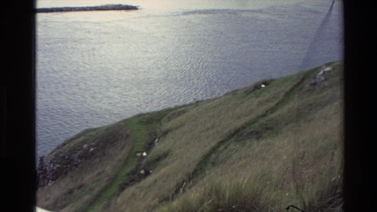 Grassy hillside slopes toward calm water with rocks and a distant shoreline.