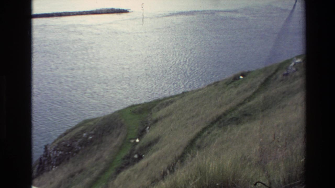 Grassy coastal hillside slopes down toward calm water with a distant pier or breakwater.