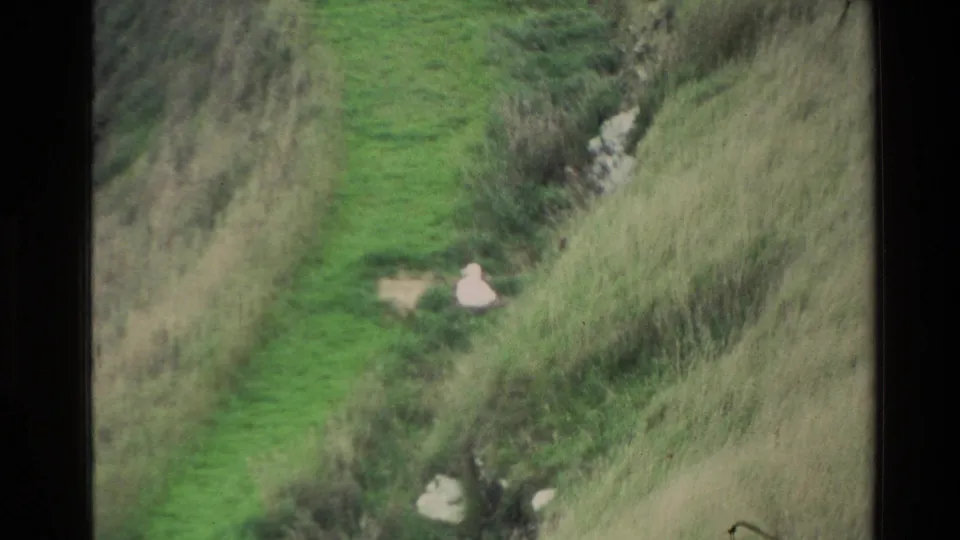 A 1982 New Zealand 8mm view of a narrow hillside path, rough grass, pale rocks, and a possible small resting animal.
