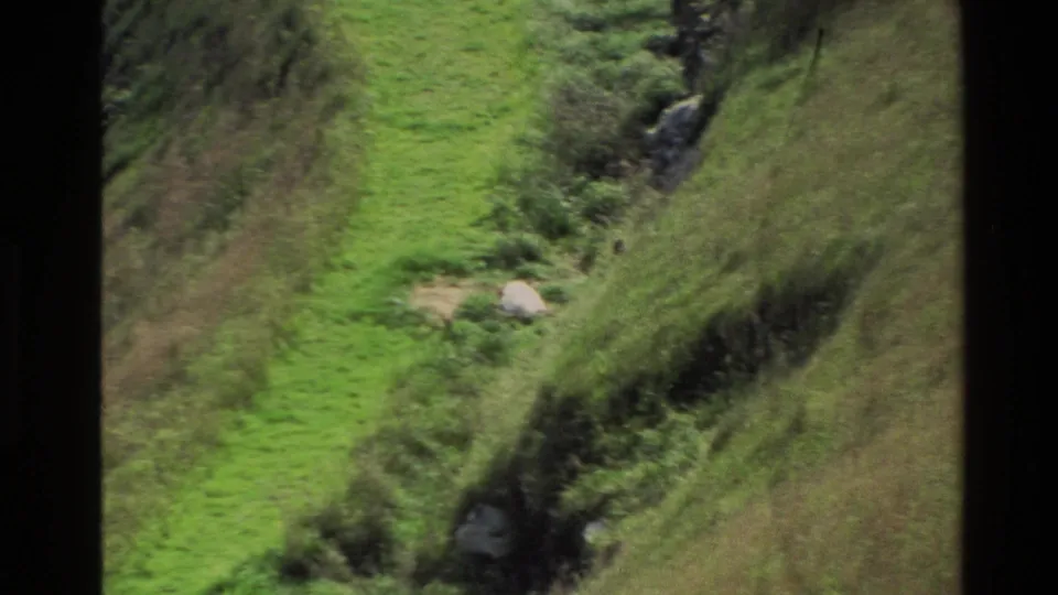 The final 1982 New Zealand hillside frame shows a green track, scattered rocks, rough grass, and a shadowed gully or vegetation line.