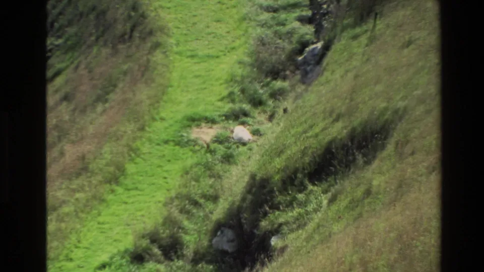 1982 New Zealand 8mm frame showing a small white animal on a lush green mountain slope with scrub and rocks nearby.