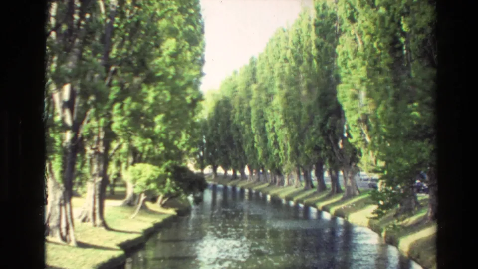 1982 New Zealand 8mm frame showing a narrow tree-lined waterway or reflection pool bordered by grass in bright sun.