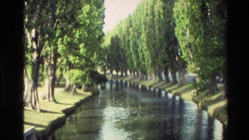 1982 New Zealand 8mm view of a reflective waterway or pool lined with tall trees and manicured grass banks.