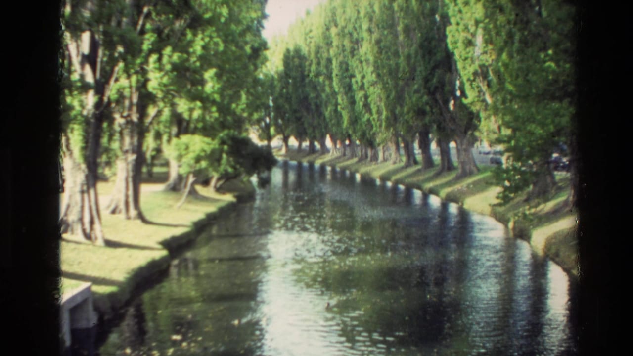 1982 New Zealand 8mm view of a straight park canal bordered by tall trees, grass banks, and sunlit water reflections.