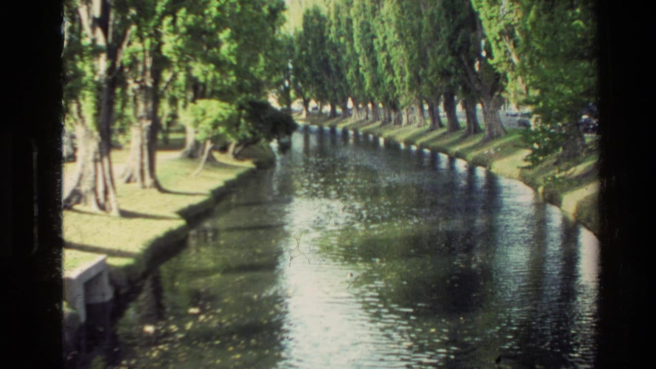 Canal curving slightly through a park with rows of trees on both banks.
