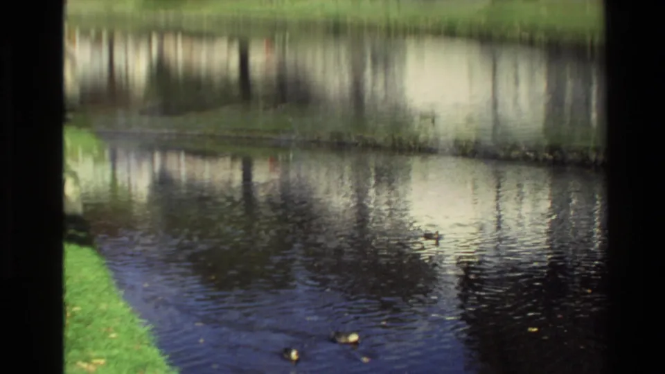 Soft 1982 New Zealand 8mm frame with blurred water reflections, a grassy bank, and dark frame-edge exposure marks.