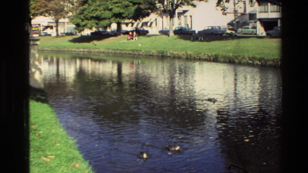1982 New Zealand home-movie view of ducks on a park lake with grassy banks, parked cars, trees, and residential-looking buildings beyond.