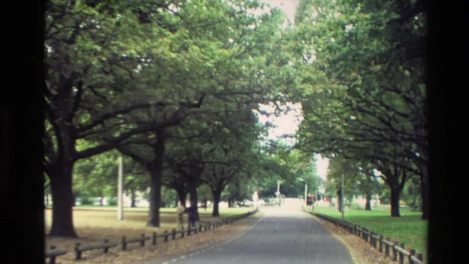 1982 New Zealand park path framed by mature trees and low railings, with small pedestrian figures walking beneath the leafy canopy.