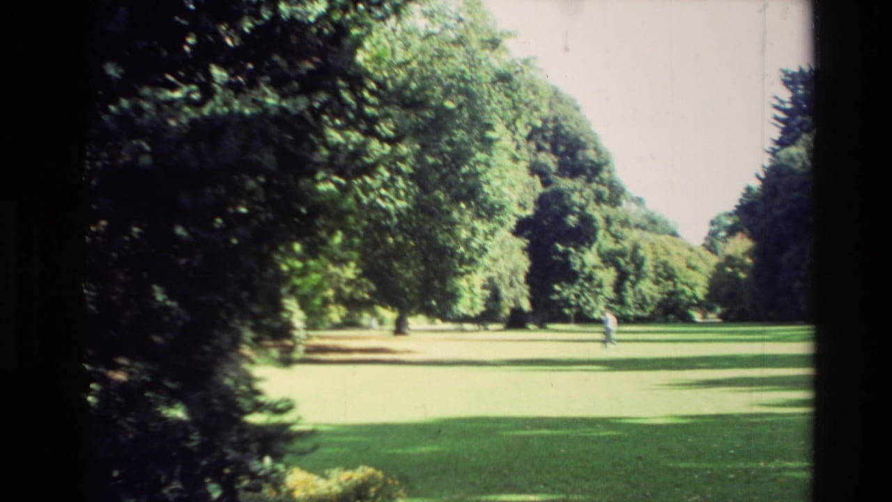 1982 New Zealand home-movie view of a shaded park path, green lawn, wooden railings, and a distant person walking.