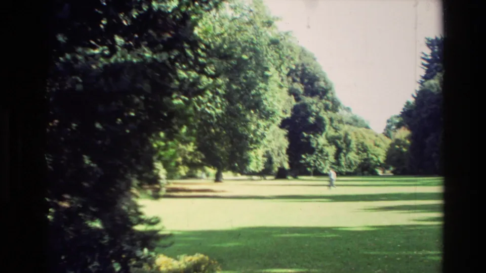 1982 New Zealand home-movie view of a shaded park path, green lawn, wooden railings, and a distant person walking.