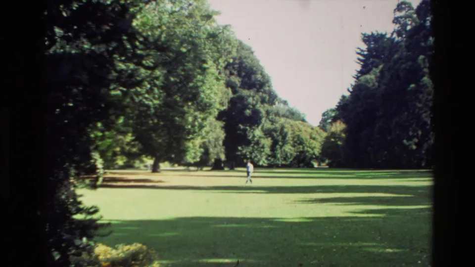 Wide 1982 New Zealand park lawn with mature trees, patchy sun and shade, and a distant walker crossing the grass.