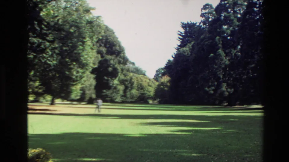 Home-movie frame of a broad New Zealand park lawn, deep tree borders, and a small walking figure in the distance.