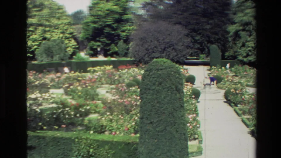 Wide 1982 New Zealand home-movie view of a manicured rose garden with symmetrical paths, sculpted hedges, trees, and small distant visitors.
