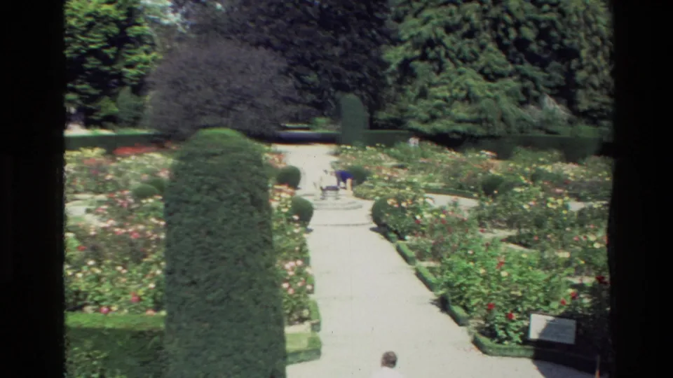 1982 New Zealand garden footage shows a broad path through rose beds and clipped greenery, with distant visitors and small garden signs visible.