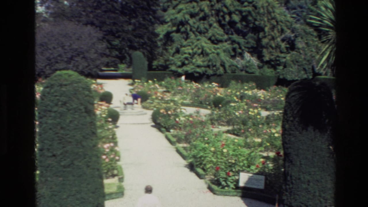 Formal garden path with rose beds, clipped hedges, trees, and distant visitors.