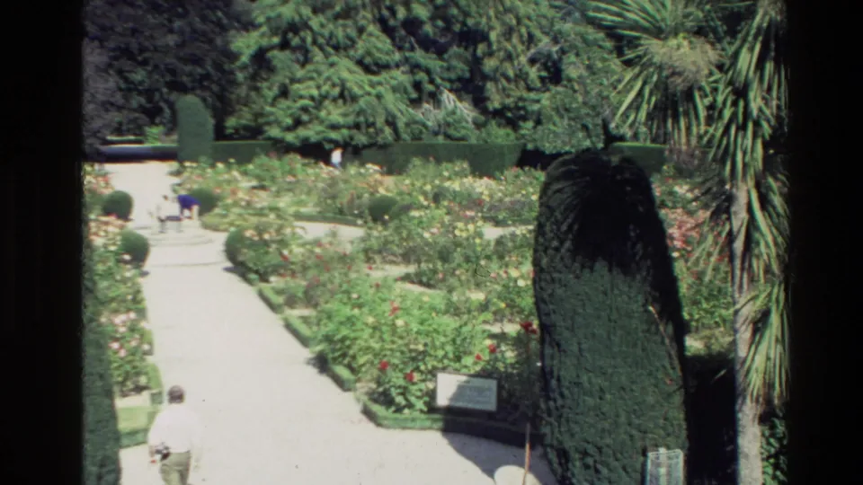 1982 New Zealand 8mm frame of visitors on a bright public garden path lined with roses, hedges, and dense greenery.