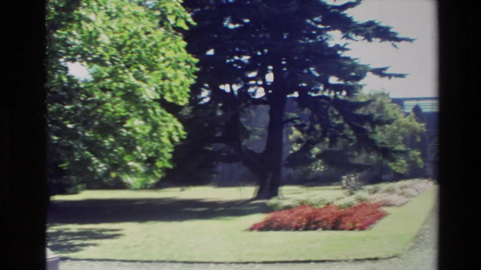 1982 New Zealand 8mm frame showing a park lawn, mature trees, red flower beds, and part of a stone statue in shade.