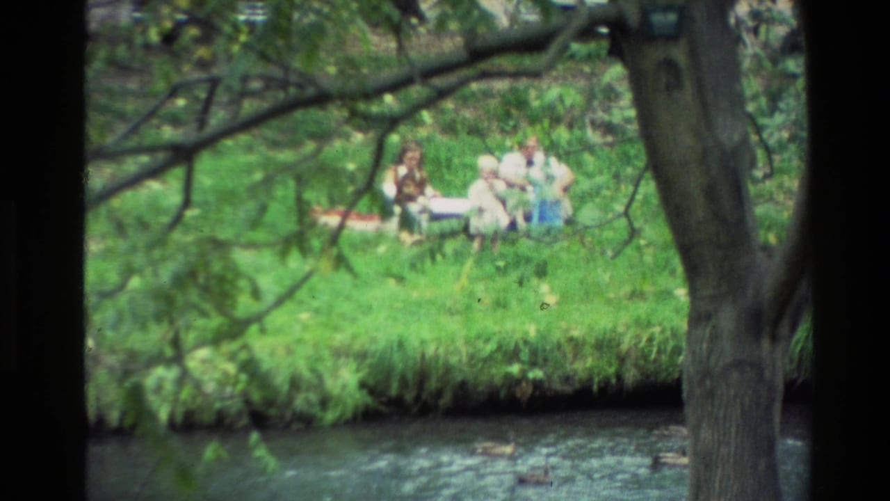 1982 New Zealand 8mm frame showing a family picnic group on a grassy riverbank behind foreground tree branches.