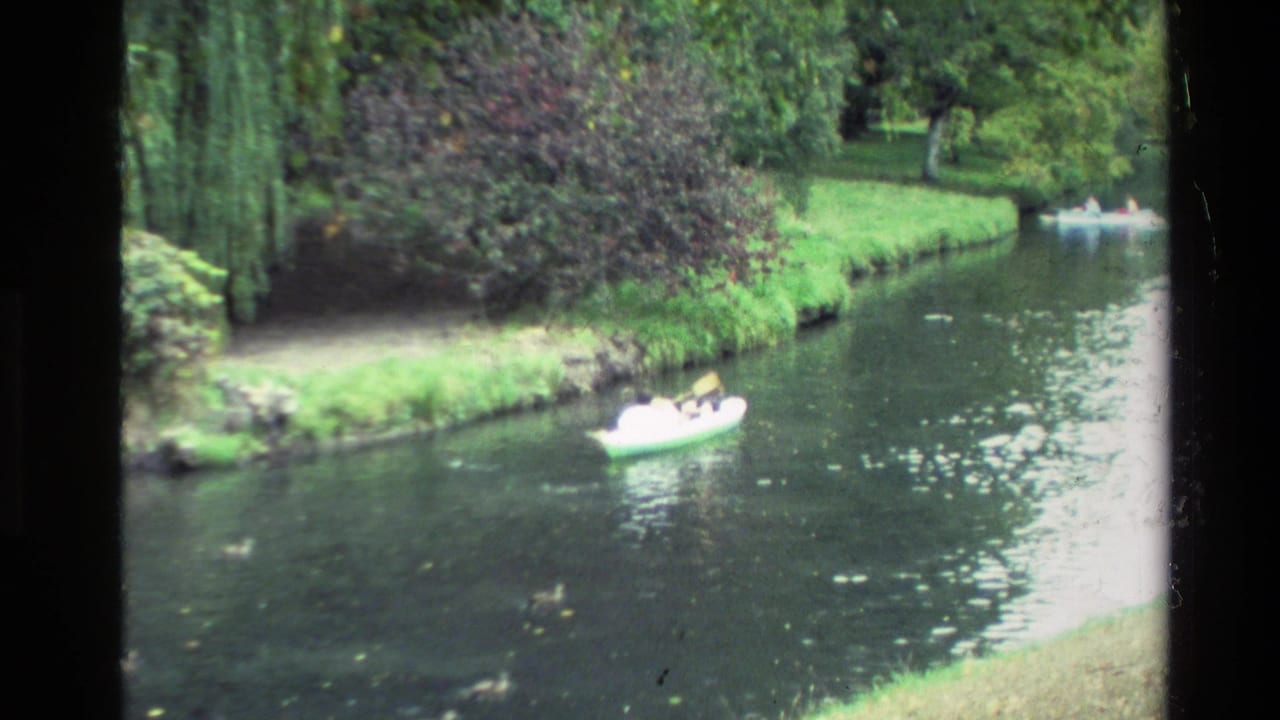Small white boat with people on a tree-lined lake.