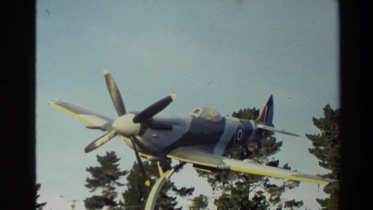1982 New Zealand home-movie frame showing a mounted wartime-style propeller aircraft with roundel markings above trees.