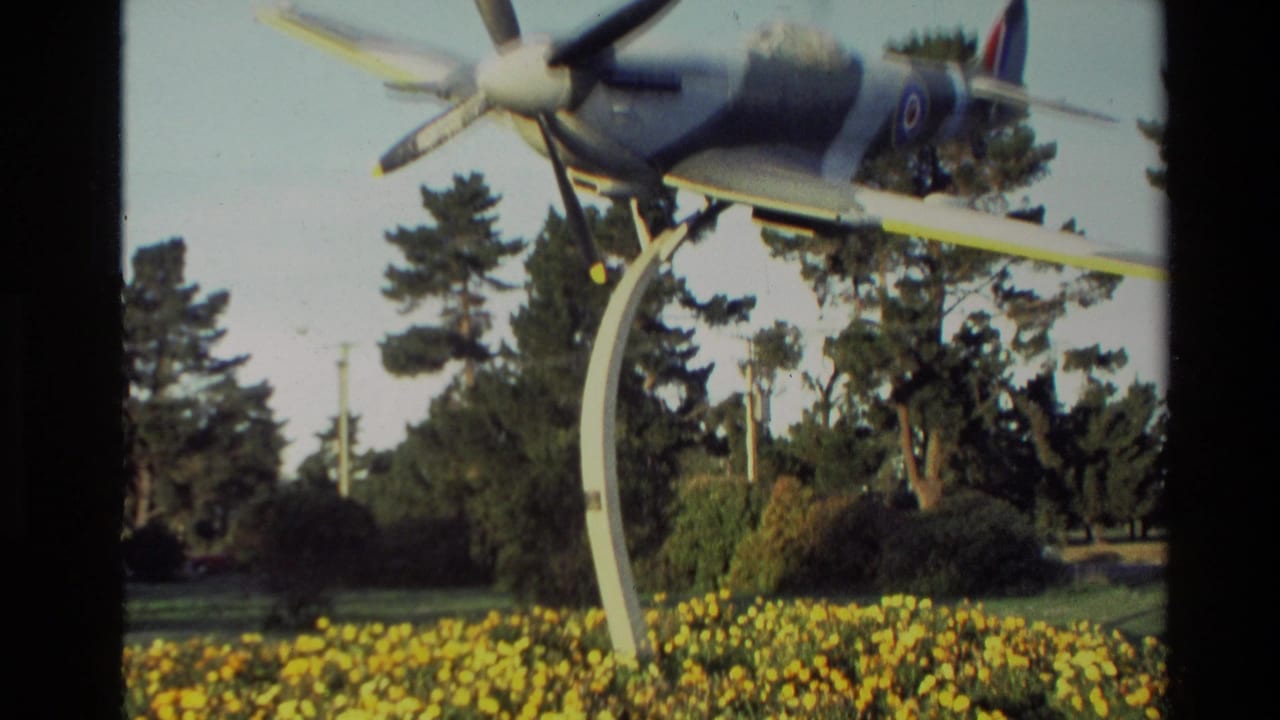 Mounted propeller aircraft above yellow flowers in a landscaped park.
