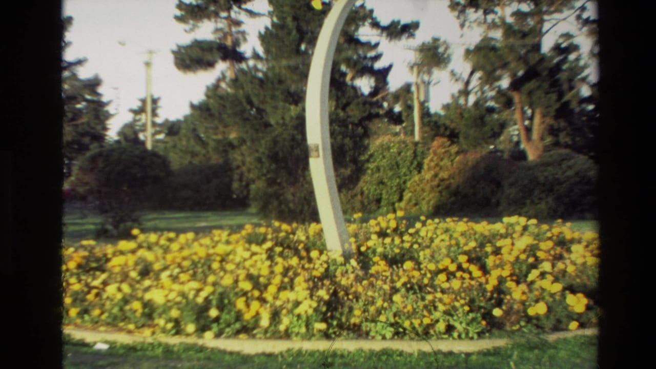 Curved aircraft pedestal behind a bed of yellow flowers and park trees.