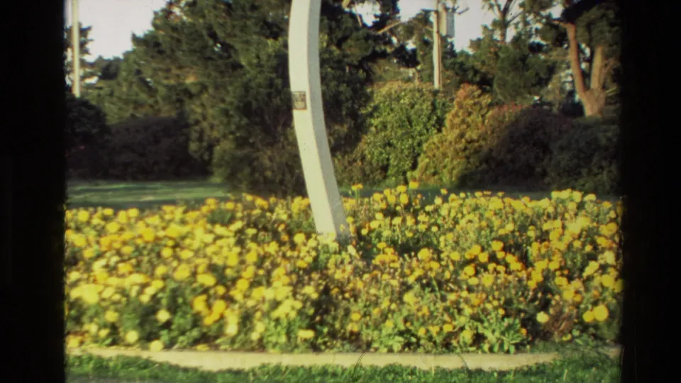 1982 New Zealand home-movie view of the aircraft pedestal base framed by yellow flowers, shrubs, grass, and trees.