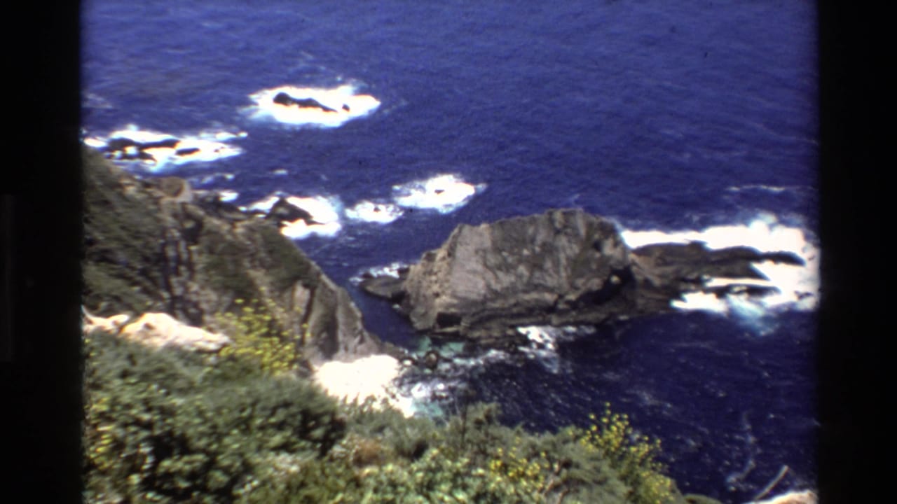 Ocean surf and rocky shoreline seen from a high vegetated cliff.