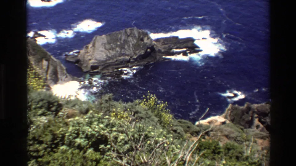 Big Sur 8mm frame with coastal brush and yellow flowers in front of dark blue sea, white surf, and jagged shoreline rocks.