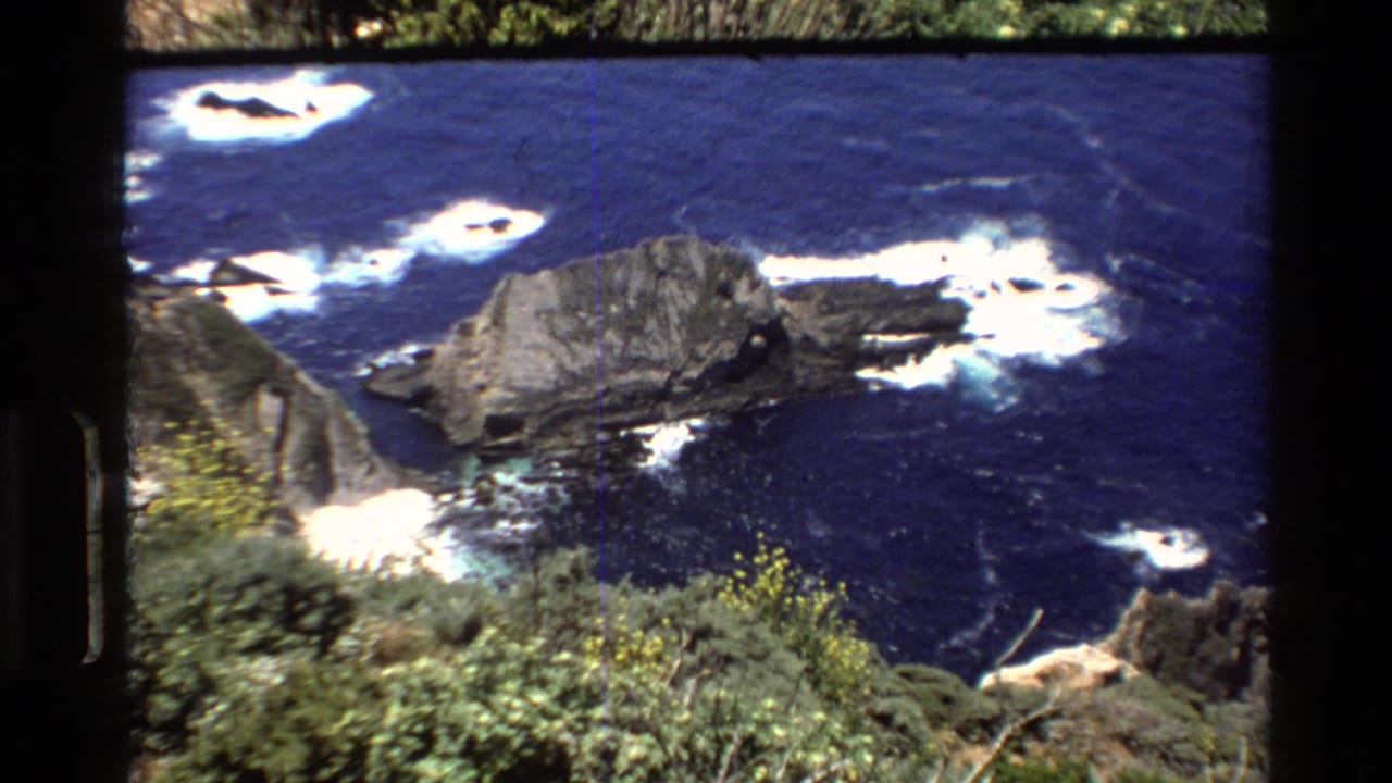 Big Sur coastal home-movie frame showing offshore rocks, foaming waves, and foreground vegetation from a high overlook.