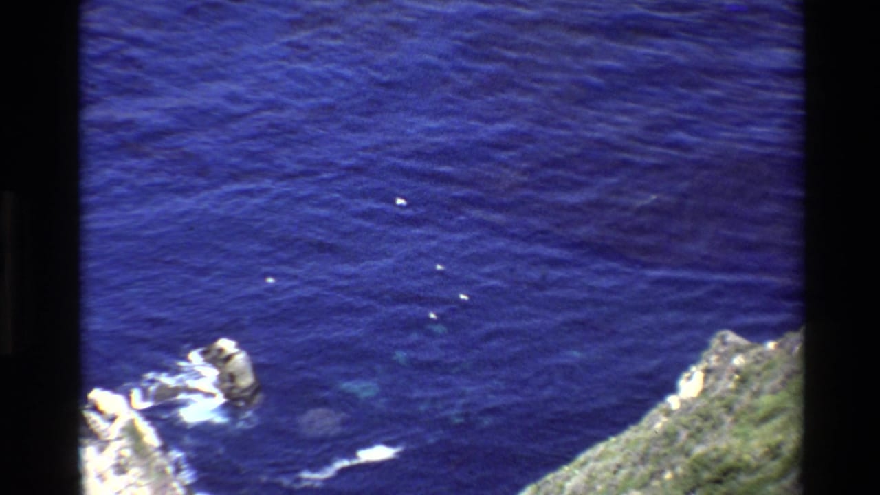 1980 8mm Big Sur coastal view with deep blue water, rocky cliff edges, and small white birds visible below.