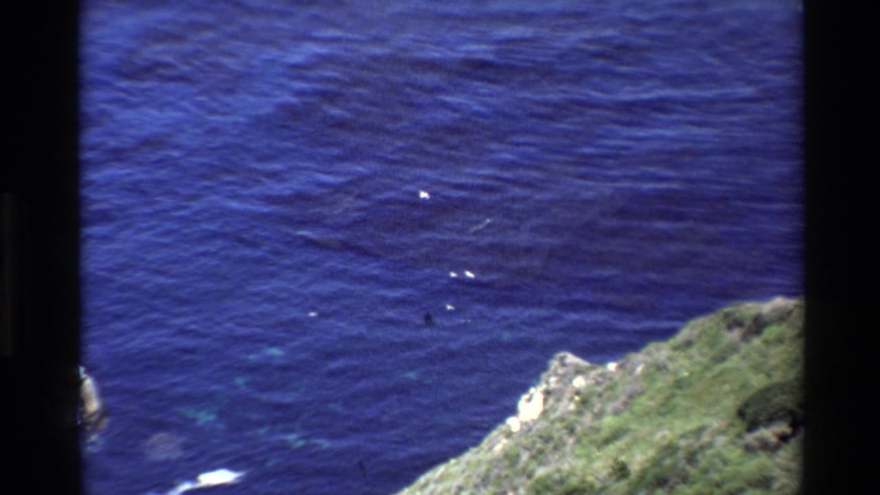 Rocky coastal point and blue ocean with small white birds scattered over the water.