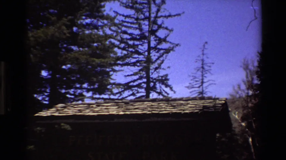 Pfeiffer Big Sur State Park sign appears in shade beneath tall evergreens, confirming the Big Sur park setting noted in the metadata.