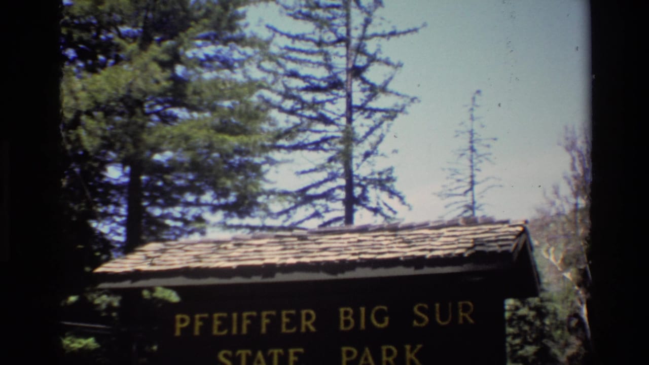 Pfeiffer Big Sur sign partly framed by trees and sky.