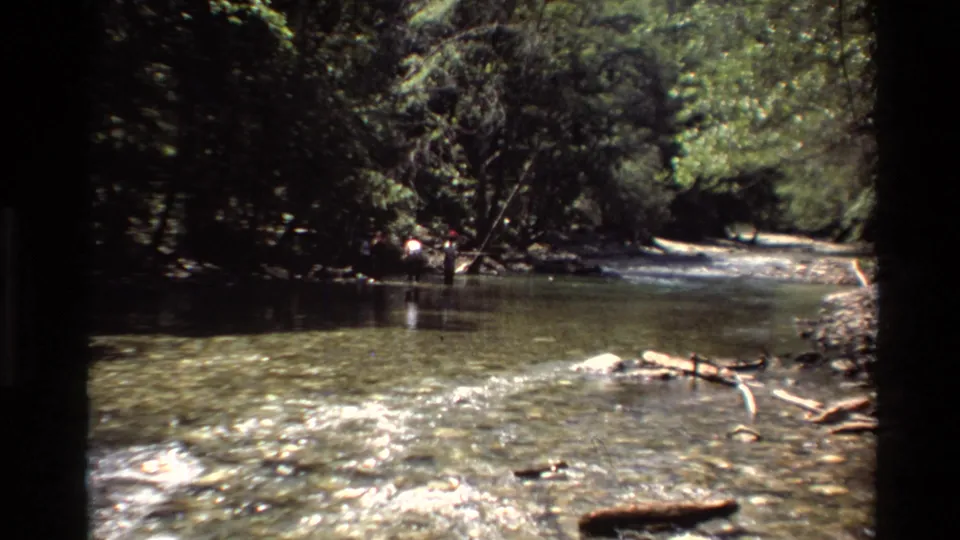 1980 Big Sur 8mm frame looking along a shallow wooded river, with rippling water, driftwood, rocks, and heavy tree shade.